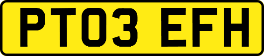 PT03EFH