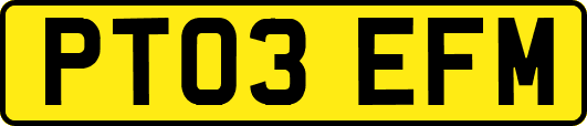 PT03EFM
