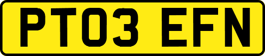 PT03EFN