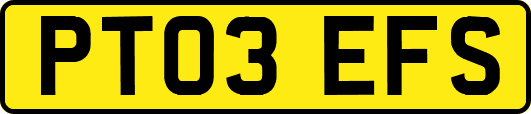 PT03EFS