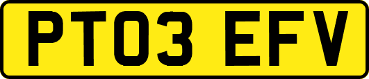 PT03EFV
