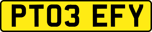 PT03EFY