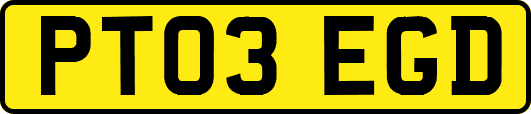 PT03EGD