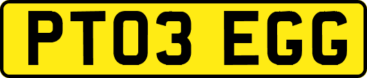 PT03EGG