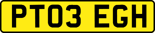 PT03EGH