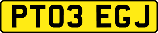 PT03EGJ