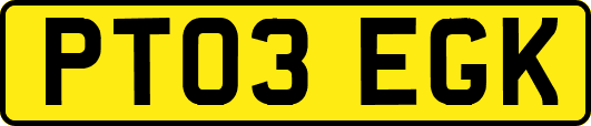 PT03EGK