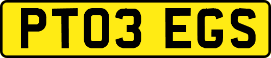 PT03EGS