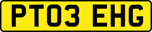 PT03EHG