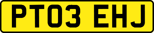 PT03EHJ