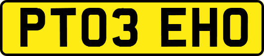 PT03EHO