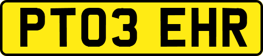 PT03EHR