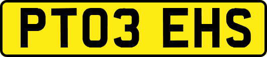 PT03EHS