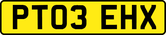 PT03EHX