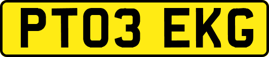 PT03EKG