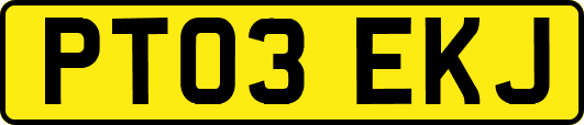 PT03EKJ