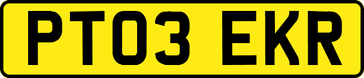 PT03EKR