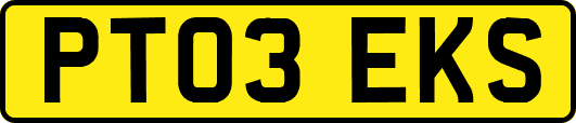 PT03EKS