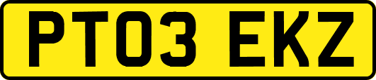 PT03EKZ
