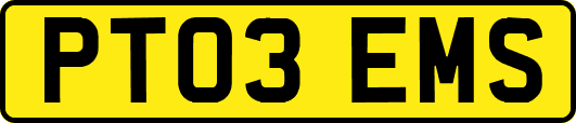 PT03EMS
