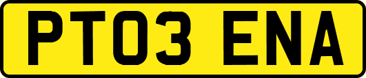 PT03ENA