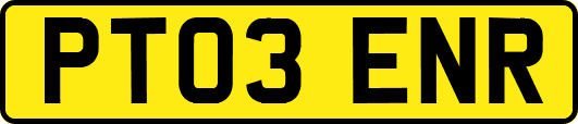 PT03ENR