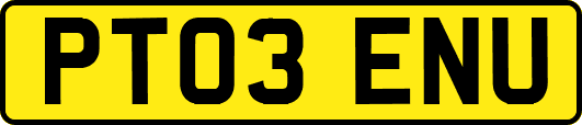 PT03ENU