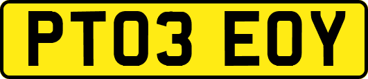 PT03EOY