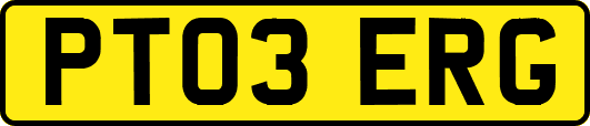 PT03ERG