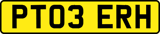 PT03ERH