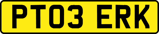 PT03ERK