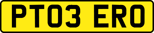 PT03ERO