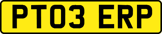 PT03ERP