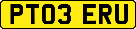 PT03ERU