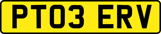 PT03ERV