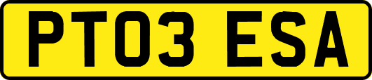 PT03ESA