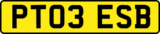PT03ESB