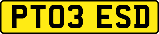PT03ESD
