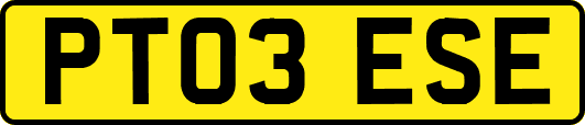 PT03ESE