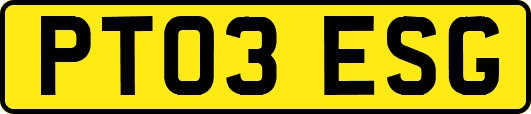 PT03ESG