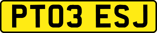 PT03ESJ