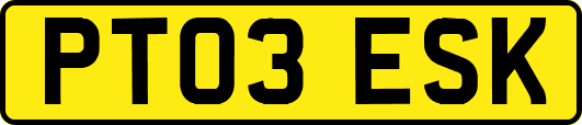 PT03ESK