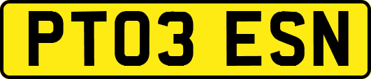 PT03ESN