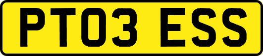 PT03ESS