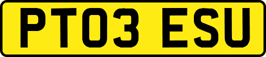 PT03ESU