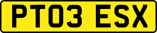 PT03ESX