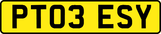 PT03ESY