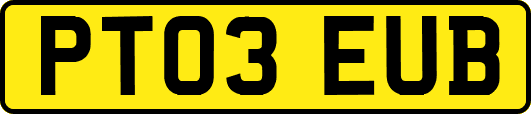 PT03EUB