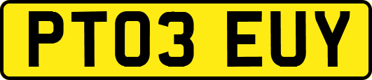 PT03EUY