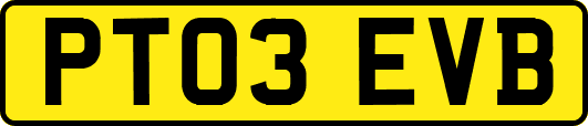 PT03EVB